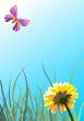 butterfly in the sky and flower