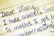 Dear Diary Confession