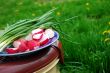 Picnic