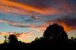 Spectacular Cloudy Sunset over the trees