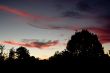 Spectacular Cloudy Sunset over the trees