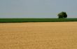 Tractor on a field