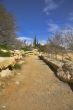 Footpath in an oasis.