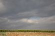 Winter in Israel.