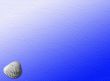 Shell background