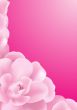 Pink Background