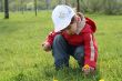 little girl in red coat tear flower dandelion