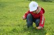 little girl in red coat tear flower dandelion