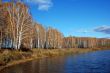 Autumn forest