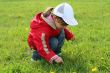 little girl in red coat tear flower dandelion