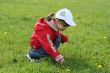 little girl in red coat tear flower dandelion
