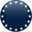 Blue Button with White Stars