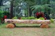 log bench