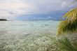 tropical sea