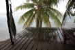 tropical viewpoint