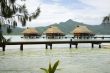 tropical bungalows