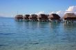 Polynesia tropical