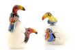 birth of birds