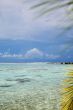 tropical sea