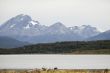 snowy mountains