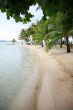 exotic tropical beach