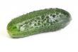 green cucumber