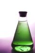 Laboratory Beaker
