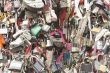 padlock tree 1