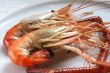 Cooked prawn