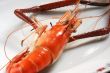 Cooked prawn