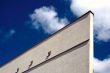 Concrete building