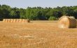 Hay Bales