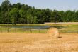 Hay Bale