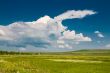 summer rural landscape