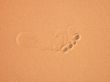 A Human footstep on Sand Dunes of Sahara