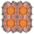 Fractal 21