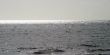 Ocean 6723