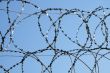 Barbed wire