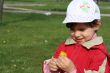 little girl in red coat tear flower dandelion