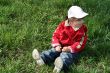 little girl in the park sitting on green grass