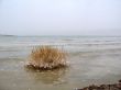 Dead sea