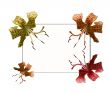 Lilies by easter 3