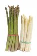 White and green asparagus