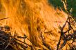 forest fire