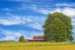 Old Barn