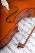 Violin