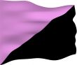 Anarchist Queer Flag