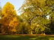 autumnal park