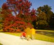 family walk