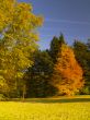 autumnal park